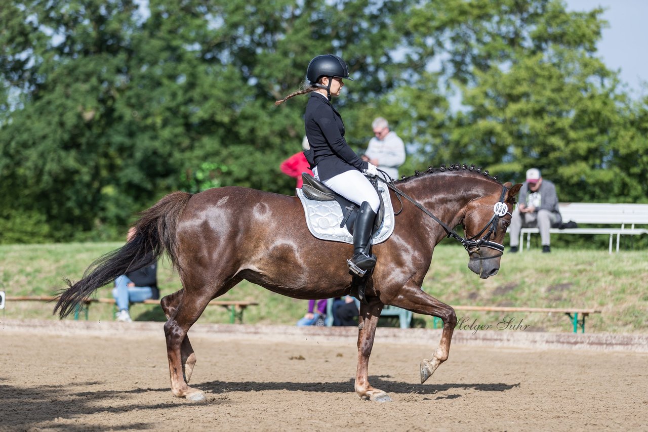 Bild 339 - Pony Akademie Turnier